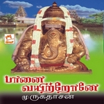 Paanai Vayitronea songs Paanai Vayitronea songs